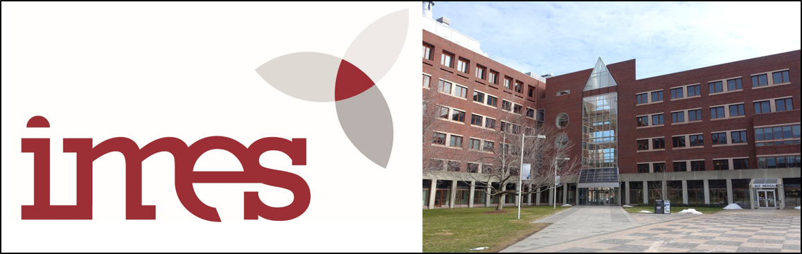 banner for MIT IMES